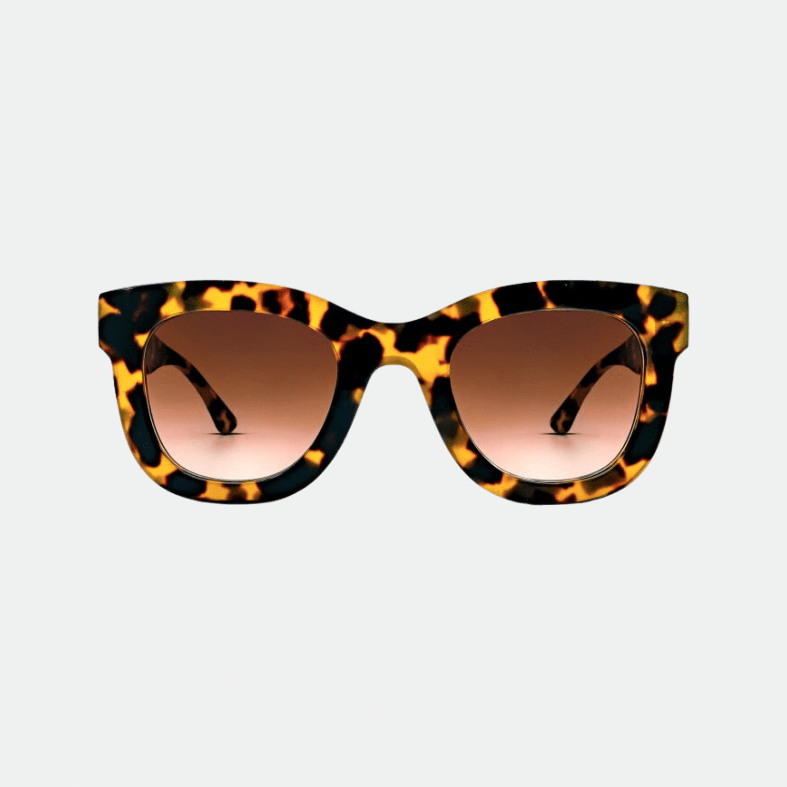 Thierry Lasry Gambly - Tokyo Tortoise